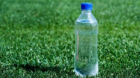 Botellas de agua en el Mundial 2026: solamente en EE. UU. y Canadá