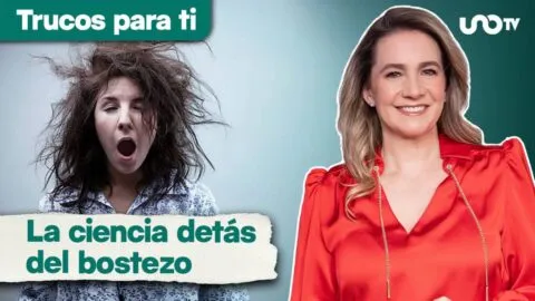 ¿Por qué bostezamos cuando alguien más lo hace? La ciencia detrás del “bostezo contagioso”