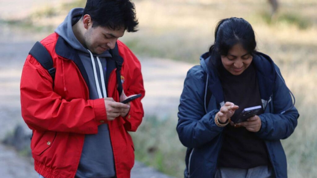 Celulares