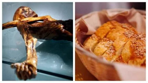 ¿Lo comerías? Científicos hacen pan con levadura hallada en una momia... ¡de hace 5 mil años!