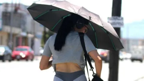 Países Bajos vs Marruecos: partido del Mundial se jugará con temperaturas de 27 grados en Monterrey este 29 de junio