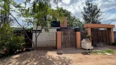 Rescatan decenas de perros desnutridos y hallan cadáveres en criadero clandestino de San Luis Potosí