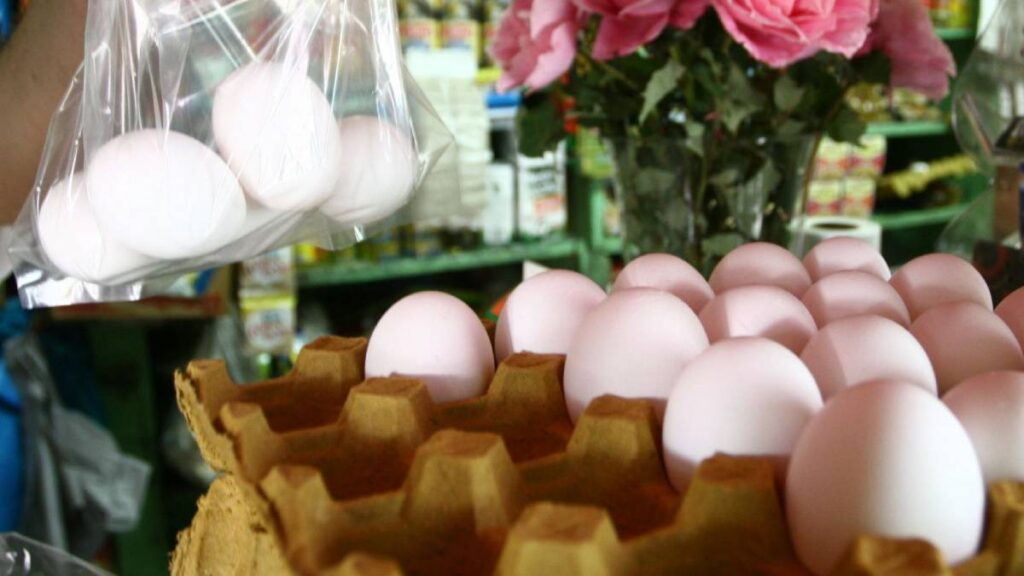 Alimentos