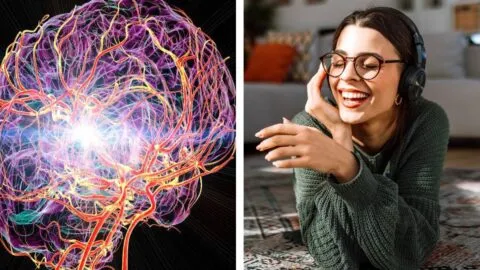 ¿Escuchas las mismas canciones varias veces? La ciencia explica qué pasa en el cerebro