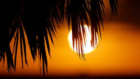 UNAM asegura que hay 95% de probabilidad de que "El Niño" se convierta en un "Niño Godzilla"