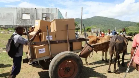 Hasta en carretas, llega a Cuba ayuda estadounidense para damnificados por huracán de 2025