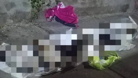 Envenenan a 6 perros en Celaya, Guanajuato; dueña acusa a su vecina