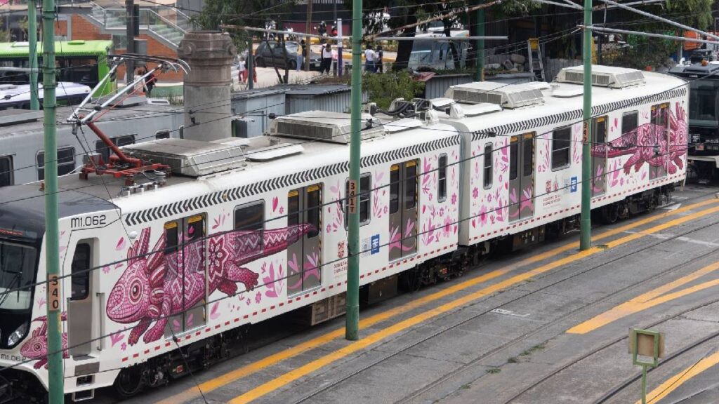 falla-en-el-tren-ligero-de-cdmx-provoca-servicio-provisional-y-caos-entre-usuarios