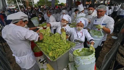 Jalisco va por el récord Guinness del guacamole más grande del mundo; ve cuándo y dónde