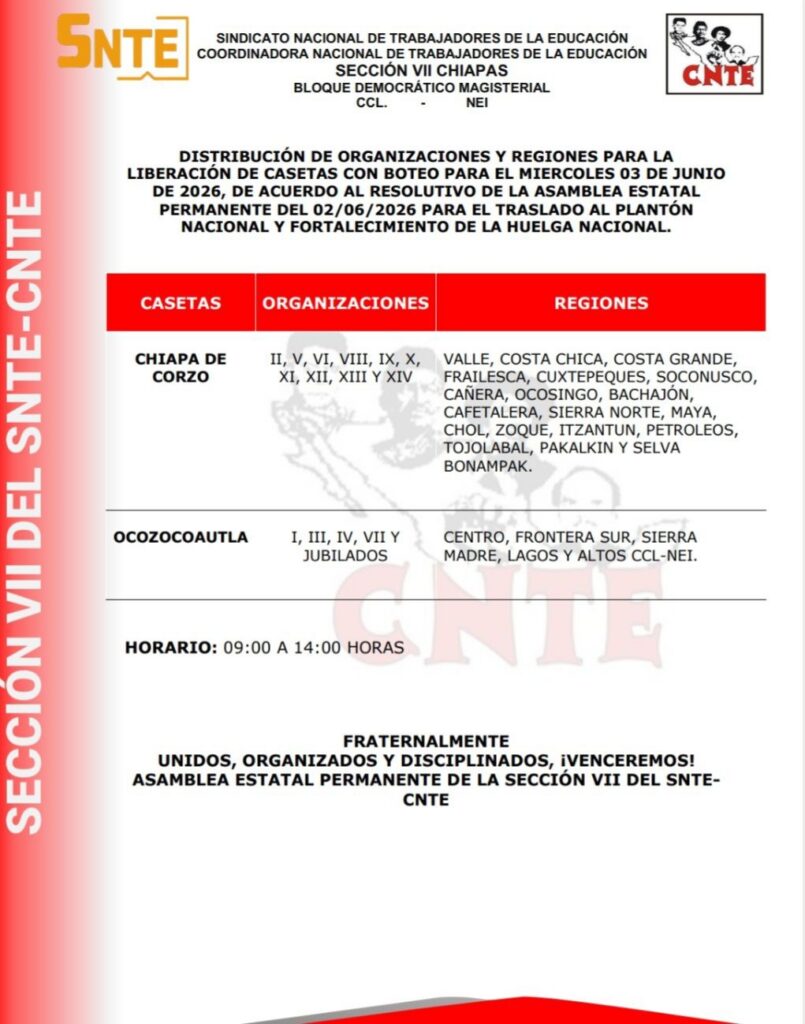 Foto: CNTE sección Vll 
