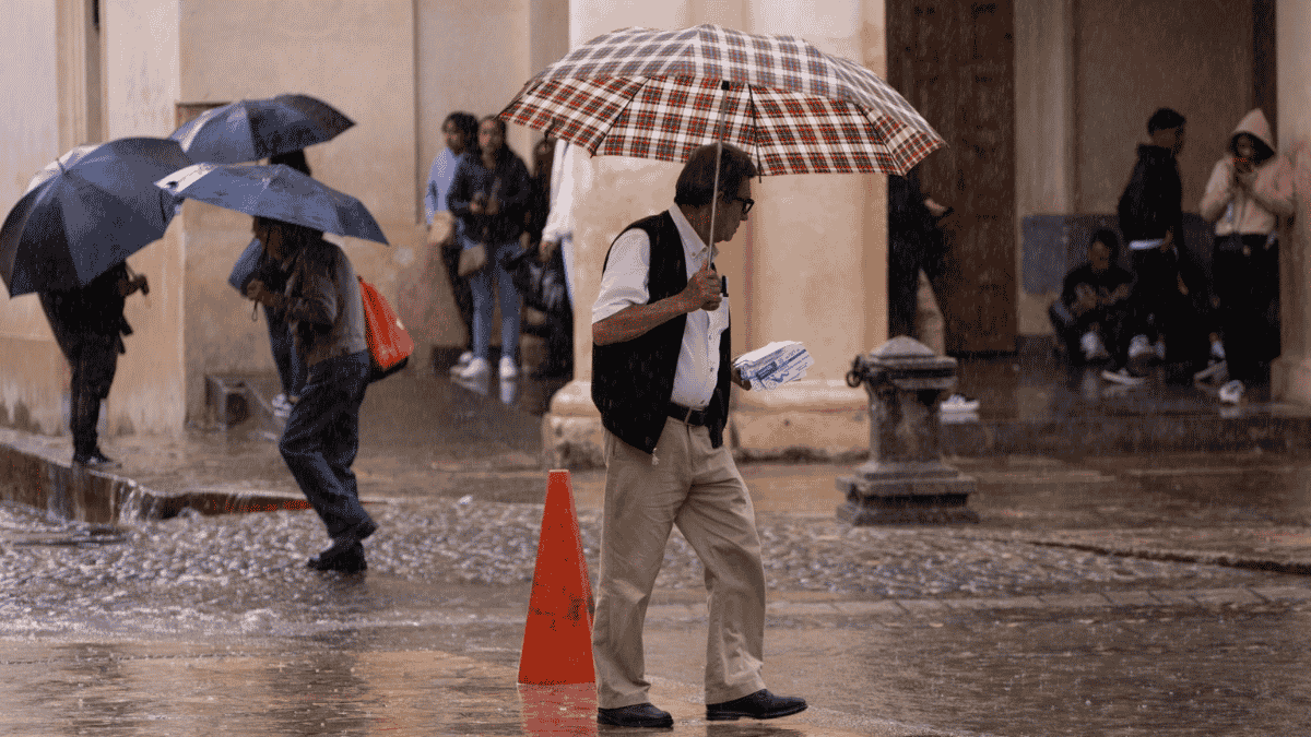 Rain continues in 29 states for this Sunday; where it will rain stronger