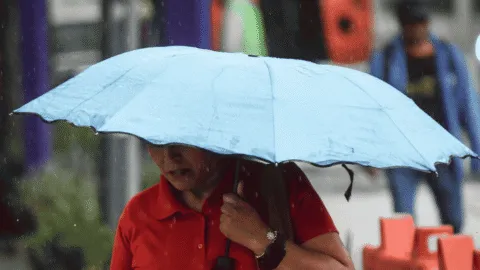 De torrenciales a ligeras: Metereológico prevé lluvias en 30 estados para este sábado
