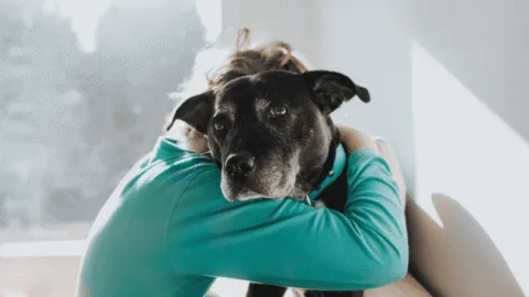 Las lecciones que perros y gatos enseñan a los niños sin que se den cuenta, según estudio