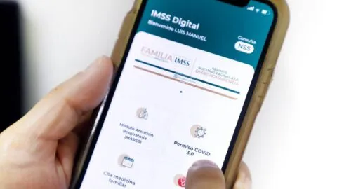 Conoce el paso a paso de cómo registrarte o recuperar la contraseña de tu Tarjetón Digital del IMSS