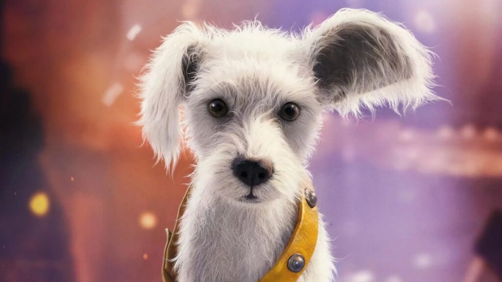 Krypto