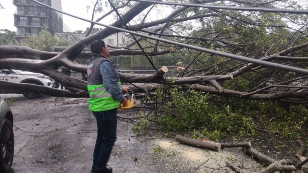 Fuertes lluvias en CDMX dejaron inundaciones, árboles caídos y afectaciones viales; autoridades mantienen operativos de atención.