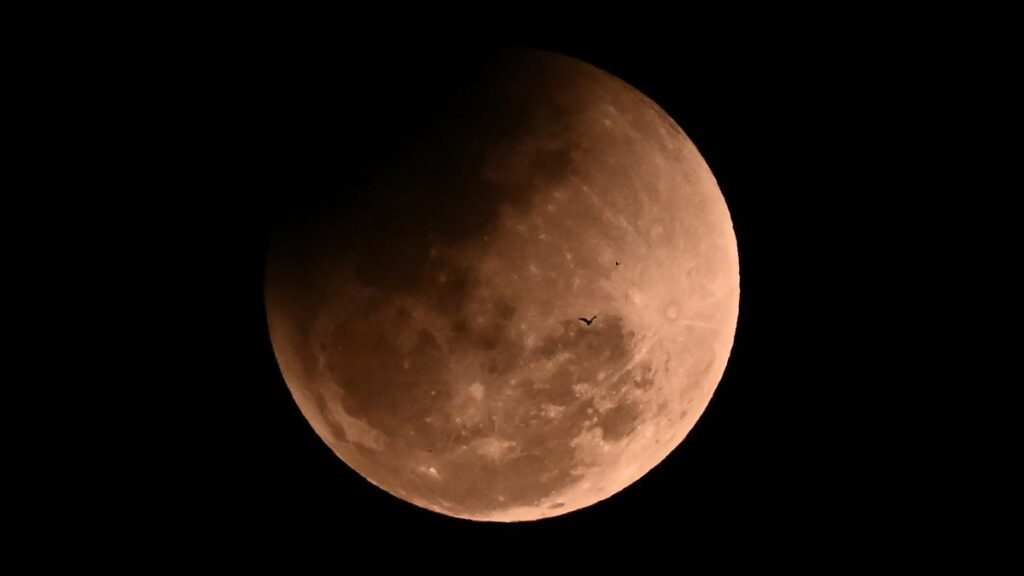 Luna de fresa