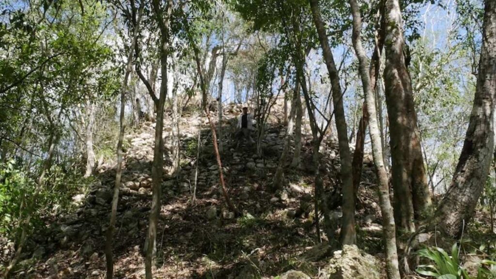 Minanbé, la ciudad maya virgen que permaneció oculta en la selva de Calakmul, Campeche