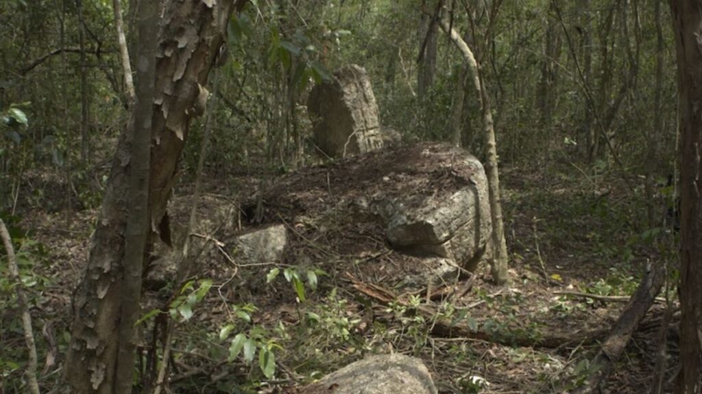 Minanbé, la ciudad maya virgen que permaneció oculta en la selva de Calakmul, Campeche