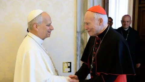Papa León XIV reitera deseo de venir a México y envía mensaje a la Iglesia y a fieles