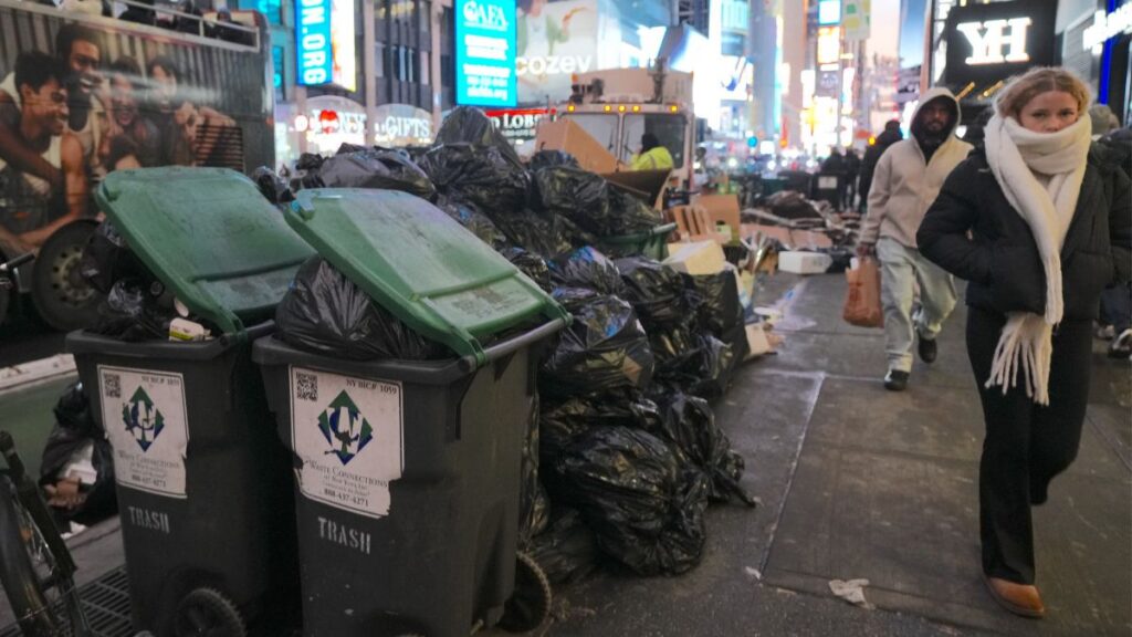 La ciudad de Nueva York exige el uso de contenedores oficiales para residuos en viviendas residenciales.