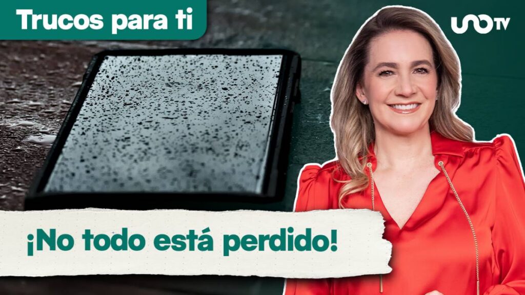 Proyecto Nuevo