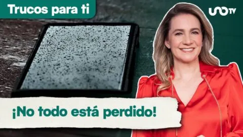 ¿Se mojó tu celular? Maggie Hegyi te comparte los mejores trucos para salvar tu teléfono