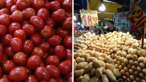 Jitomate y papa ponen en aprietos a familias; sube costo de la canasta alimentaria