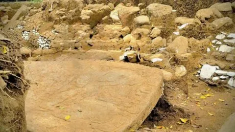 ¿Una cultura desconocida? INAH descubre en Veracruz una estructura prehispánica única