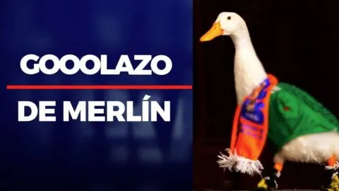 “Será Viral”: Pato Merlín conquista las redes en pleno Mundial