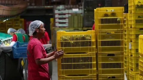 Se enfría empleo en México: cae 1.5%, aunque sueldos suben 2.6%, reporta Inegi