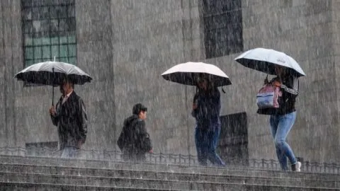 Lluvias no dan tregua en México: qué provoca el temporal y en qué estados habrá tormentas esta semana