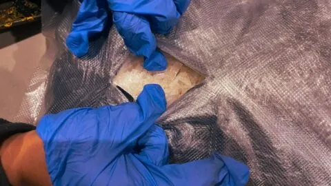 Golpe al narco: incautan 150 kilos de metanfetamina en Baja California