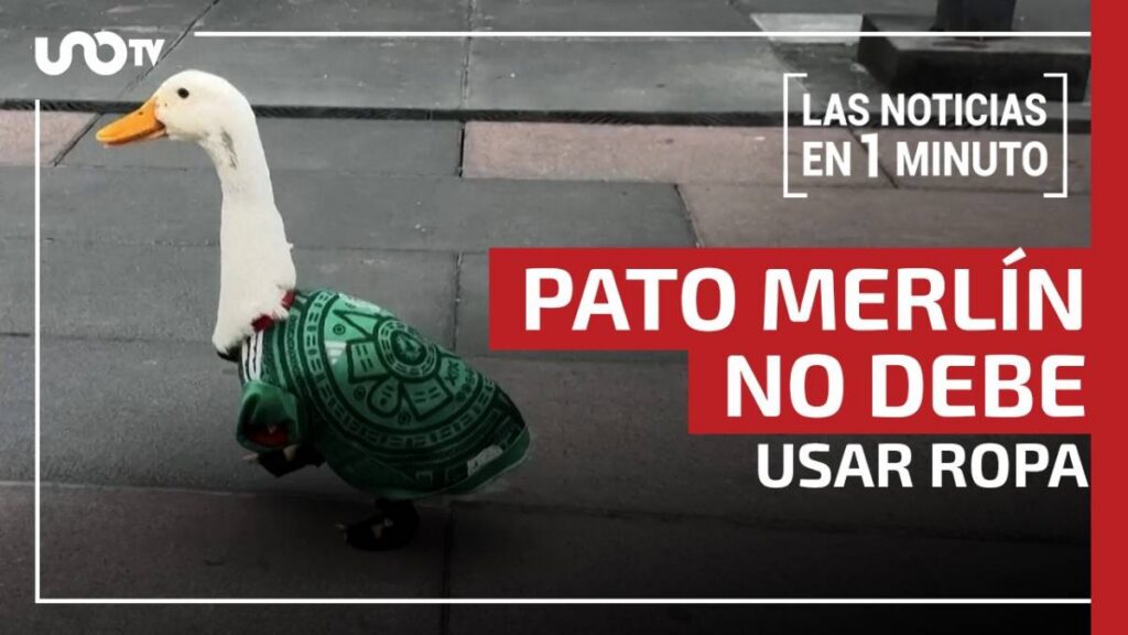 Todo en uno 24 de junio