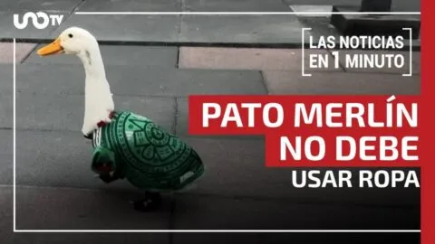 Noticias de hoy 24 de junio 2026, en un minuto, hasta las 19:00 horas