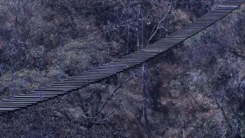 Peligroso puente colgante se viraliza en Oaxaca; autos cruzan sin temor