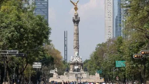¿Qué pasa en Reforma? Cierran la circulación por la “ola mas grande del mundo”