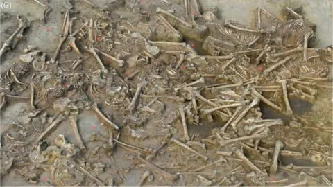 Descubren 77 esqueletos sin cabeza de hace 7 mil años; las cabezas desaparecieron sin dejar rastro