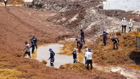 Retiran embarcaciones que combaten el sargazo justo cuando aumenta su llegada