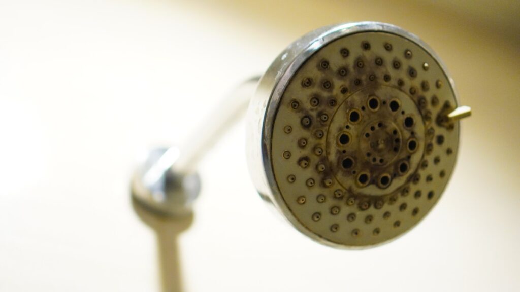 ¿Sale poca agua de la regadera? El truco para destaparla y recuperar la presión