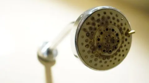¿Sale poca agua de la regadera? El truco para destaparla y recuperar la presión