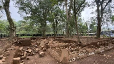 Sheinbaum anuncia presupuesto para restauración de descubrimiento arqueológico en Veracruz