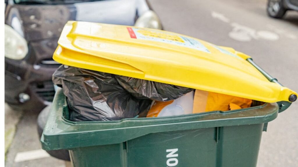 El programa de reembolso por trash bins en Nueva York busca incentivar el uso de recipientes adecuados