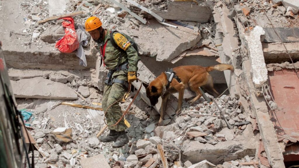 Sismo 2017 mexico