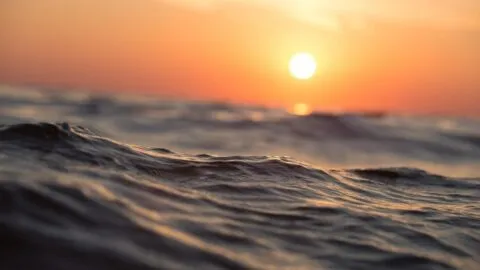 SMN confirma que El Niño está activo en el Pacífico,  prevé que se intensifique