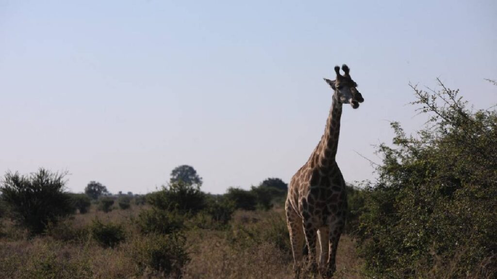 turismo en Sudáfrica lugares emblemático