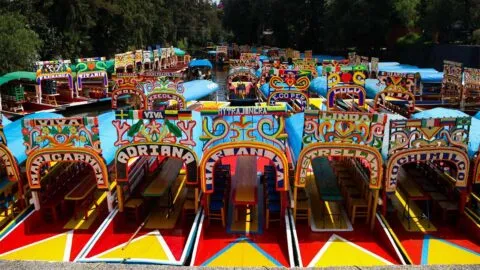 Sedema prohíbe fiestas nocturnas con alcohol y luces en las trajineras de Xochimilco