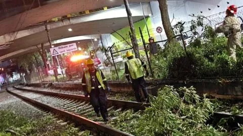 Caída de árbol afecta servicio de Tren Ligero; suspenden tramo a Xochimilco