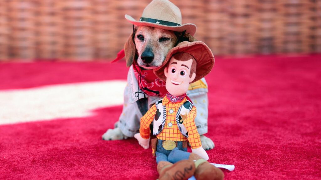 Vestido de Woody: Lucas The Dog, perrito swiftie, brilla en la premier de “Toy Story 5”