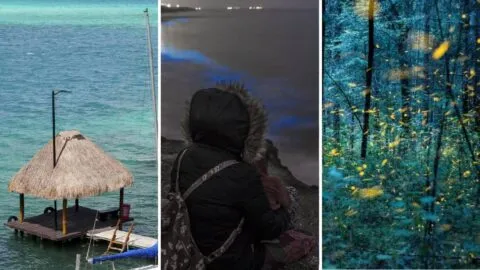 10 experiencias que debes vivir en México al menos una vez en la vida
